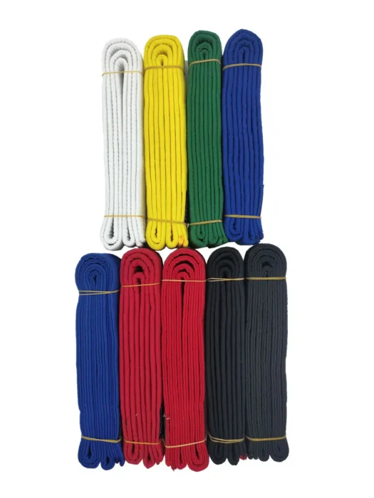 Ceinture bleue karaté 3