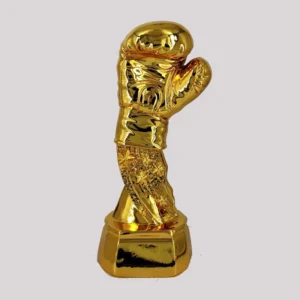 Trophée boxe